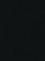 Another alt text